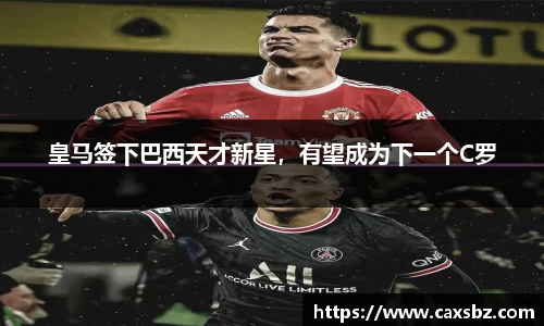 bsports官网登录入口