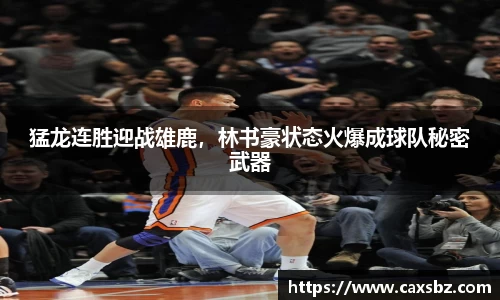 bsports官网入口