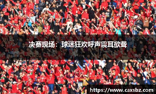 决赛现场：球迷狂欢呼声震耳欲聋