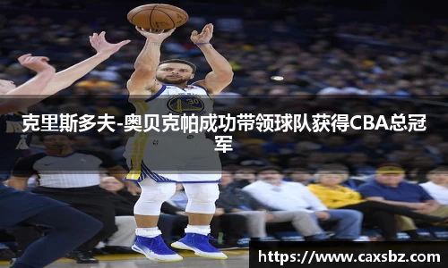 bsports官网登录入口