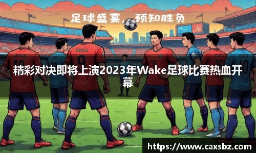 bsports官网登录入口