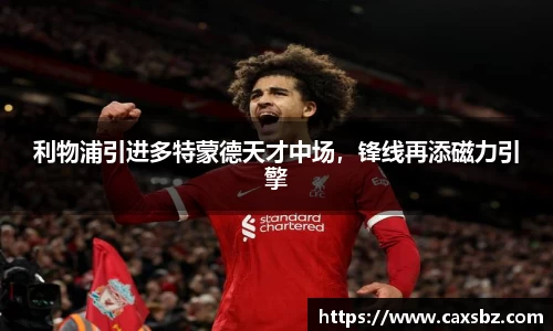 bsports登录入口