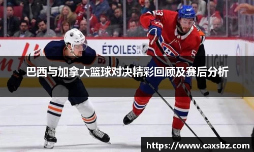 bsports官网登录入口