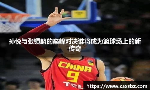 bsports登录入口