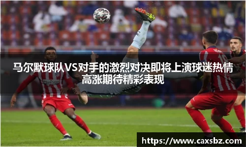 bsports官网登录入口