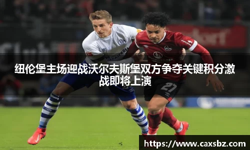 bsports登录入口